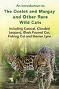 An introduction to The Ocelot and Margay and Other Rare Wild Cats Including Caracal, Clouded Leopard, Black Footed Cat, Fishing Cat and Iberian Lynx - Paperback