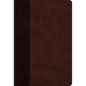 Psalms-ESV-Timeless Design - Imitation Leather
