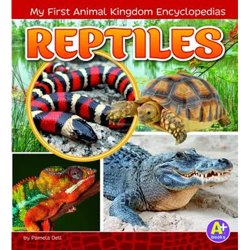 Reptiles - Paperback