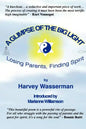 A Glimpse of the Big Light: Losing Parents, Finding Spirit - Paperback