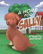 A Home for Sally - Paperback