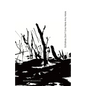 Echidnas Don't Live Here Any More: Poems of loss and recovery since the Black Summer bushfires - Paperback