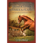 From A Spark Comes A Flame: A Spin Off Novella from The Horses Know Trilogy - Paperback