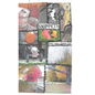 Snippets From a Small Vermont Town - Paperback