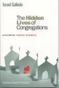 The Hidden Lives of Congregations: Discerning Church Dynamics - Paperback
