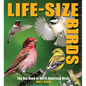 Life-Size Birds: The Big Book of North American Birds - Hardcover
