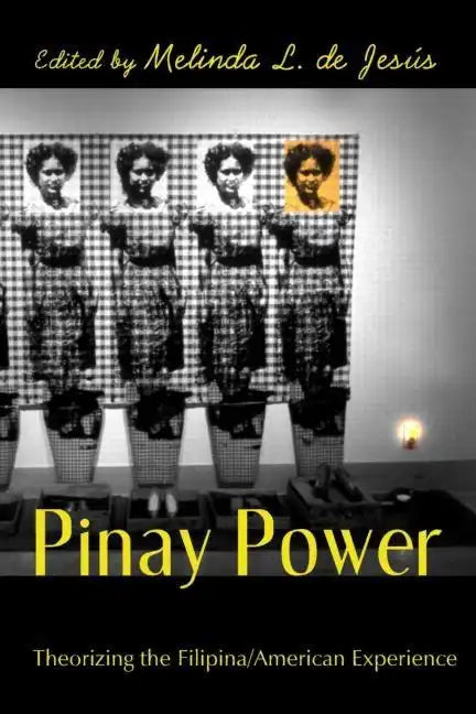 Pinay Power: Peminist Critical Theory - Paperback