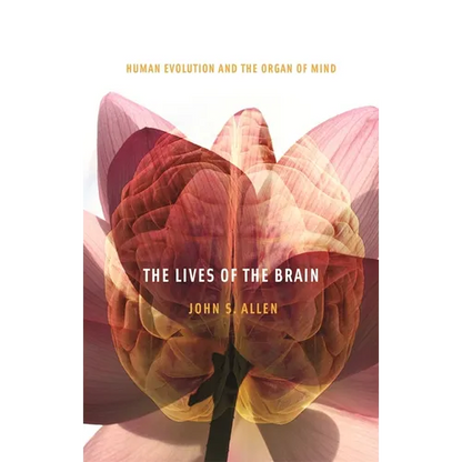 The Lives of the Brain: Human Evolution and the Organ of Mind - Paperback