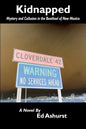 Kidnapped: Mystery and Collusion in the Bootheel of New Mexico - Paperback
