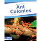 Ant Colonies - Library Binding