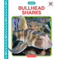 Bullhead Sharks - Library Binding