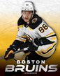 Boston Bruins - Library Binding