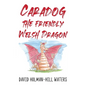 Caradog the Friendly Welsh Dragon - Paperback