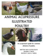 Animal Acupressure Illustrated Poultry - Paperback