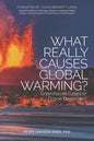 What Really Causes Global Warming?: Greenhouse Gases or Ozone Depletion? - Paperback