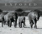 Exposed: Africa Series - Hardcover