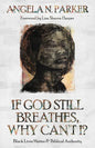 If God Still Breathes, Why Can't I?: Black Lives Matter and Biblical Authority - Paperback