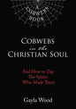 Cobwebs in the Christian Soul: And How to Zap the Spider Who Made Them - Paperback