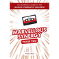 Marvellous Synergy: Phase Two - An Unofficial Guide to the Marvel Cinematic Universe - Paperback