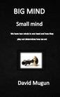 BIG MIND small mind: We have two minds in one head - Paperback