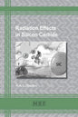 Radiation Effects in Silicon Carbide - Paperback