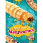 Mealworms - Paperback