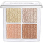 Dior BACKSTAGE Glow Face Palette - Customizable Highlighter & Blush Makeup for All Skin Tones