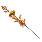 Berries Stem - 31 Inch - Orange