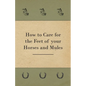 How to Care for the Feet of your Horses and Mules - Paperback