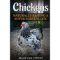 Chickens: Naturally Raising A Sustainable Flock, 2nd Edition - Paperback