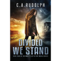 Divided We Stand: Book Four of the What's Left of My World Series - Paperback
