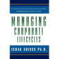 Managing Corporate Lifecycles - Paperback