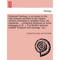 Scriptural Geology, or an Essay on the High Antiquity Ascribed to the Organic Remains Imbedded in Stratified Rocks, Etc. (Appendix ... Containing Stri - Paperback