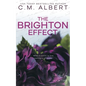 The Brighton Effect - Paperback