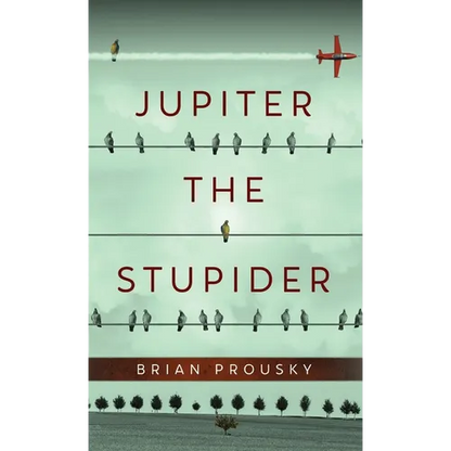 Jupiter the Stupider - Hardcover