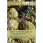 Narrative Fixation in Economics - Paperback