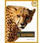 Guepardo - Paperback