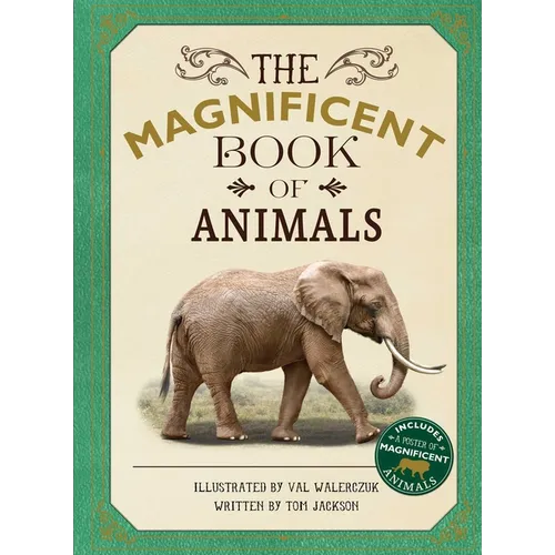 The Magnificent Book of Animals - Hardcover