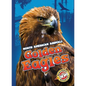 Golden Eagles - Library Binding
