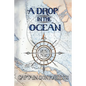A Drop in the Ocean: Understanding the Bermuda Triangle Phenomena - Paperback