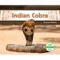 Indian Cobra - Library Binding