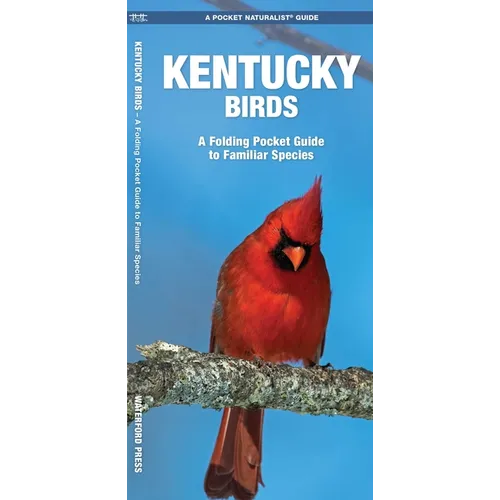 Kentucky Birds: A Folding Pocket Guide to Familiar Species - Paperback