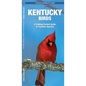 Kentucky Birds: A Folding Pocket Guide to Familiar Species - Paperback