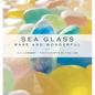 Sea Glass: Rare and Wonderful - Hardcover