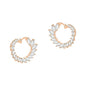 Crescent Moon Earrings Made With Crystals