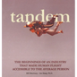 Tandem: The Beginnings of an Industry that Made Human Flight Accessible to the Average Person - Hardcover