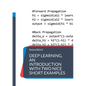 Deep Learning, an introduction with two nice short examples - Paperback