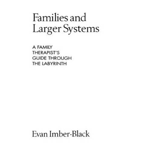 Families and Larger Systems: A Family Therapist's Guide Through the Labyrinth - Paperback