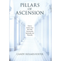 Pillars of Ascension: Tools to Achieve Your Best Self, Emotionally, Spiritually, and Physically - Hardcover