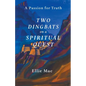 Two Dingbats on a Spiritual Quest - Paperback